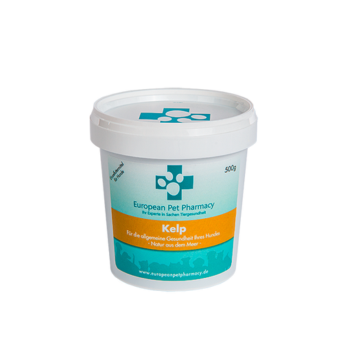 Kelp