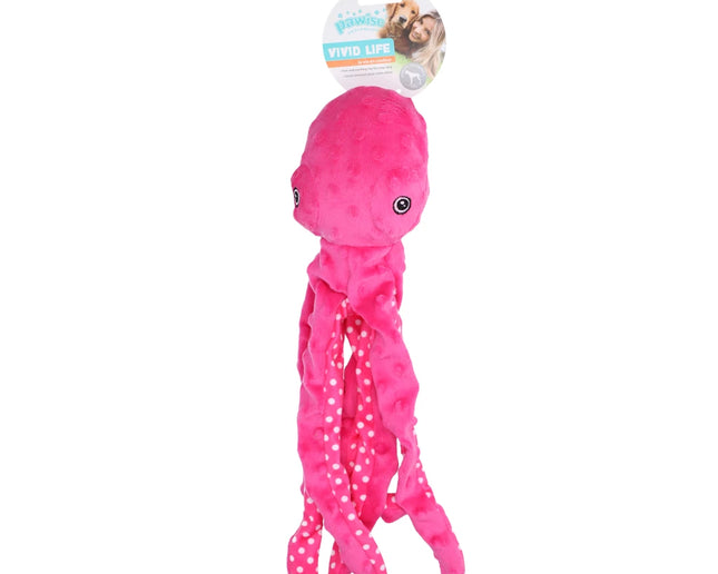 Octopus Medium