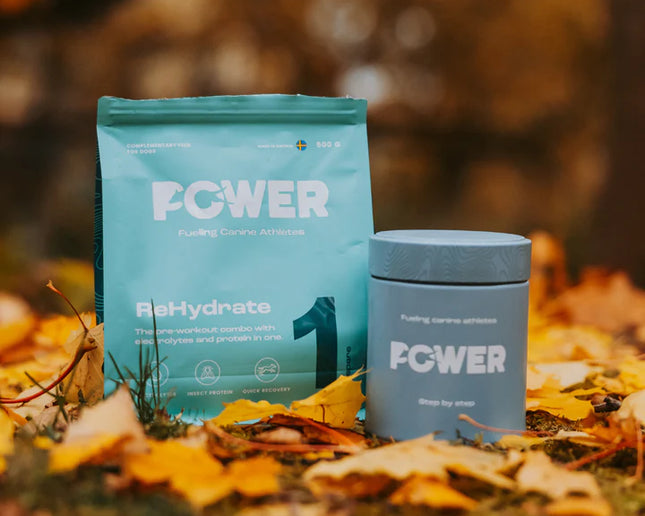 Power ReHydrate
