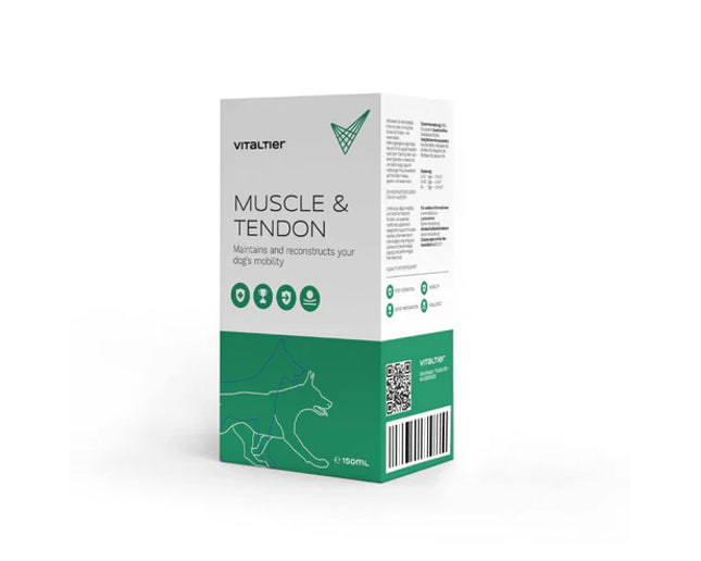 Vitaltier Muscle & Tendon
