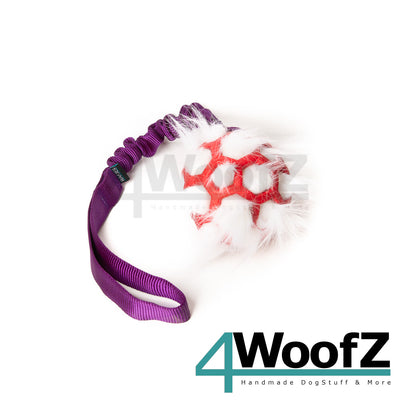 Bungee Purple - Hol-EE Roller Red S - white FUR