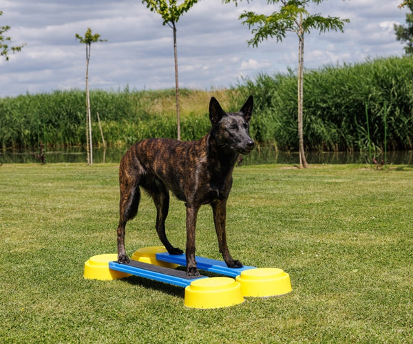 Wafjes-Fit Balance Plank Blauw