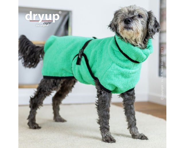 dryup Cape mini Mint