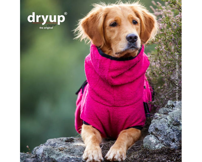 dryup Cape Pink