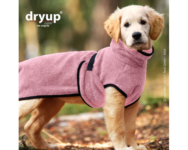 dryup Cape mini Rose