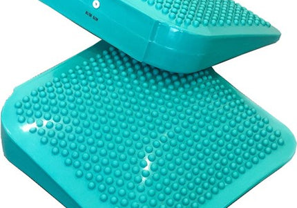 FitPAWS Dog Balance Ramp
