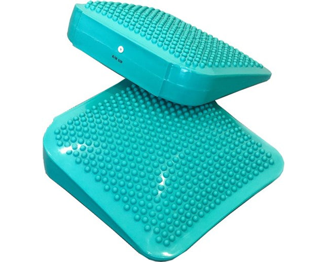 Rampe d'équilibre pour chien FitPAWS