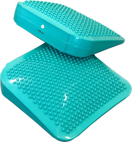 FitPAWS Dog Balance Ramp