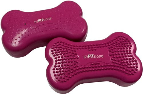 FitPAWS Fitbone mini