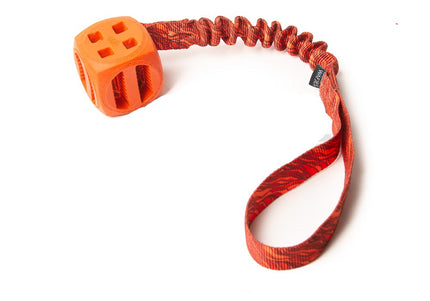 Bungee Pollux Orange