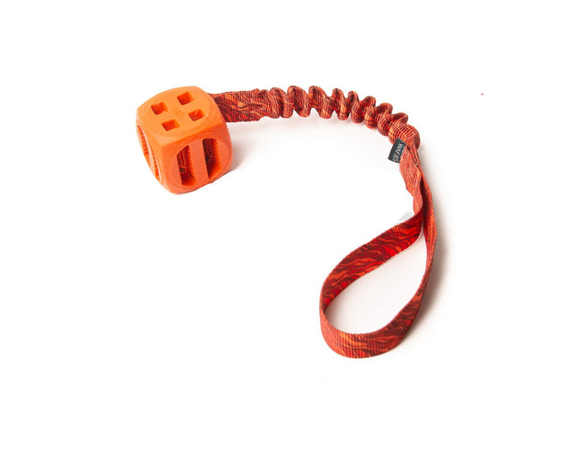 Bungee Pollux Orange