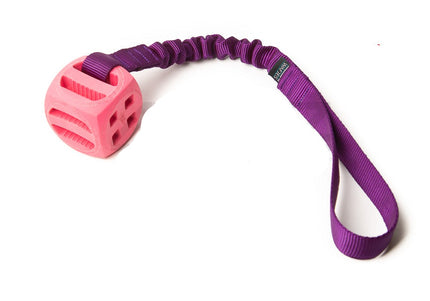 Elastique Pollux Rose