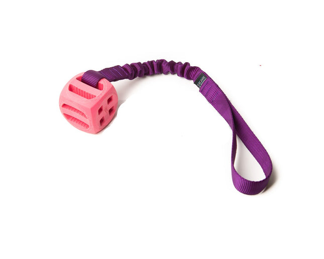 Bungee Pollux Pink