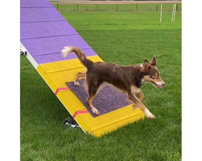 Training Target A-Frame