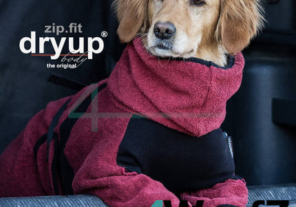dryup Body ZIP.FIT Burgundy