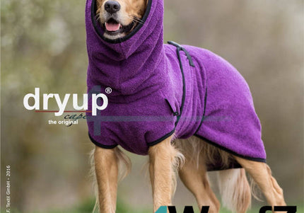 dryup Cape Bilberry