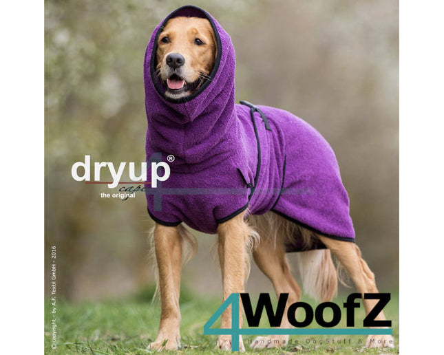 dryup Cape Bilberry