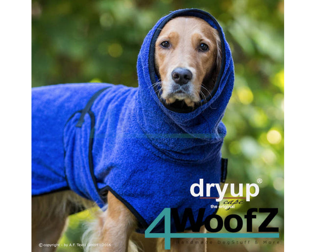 dryup Cape Blueberry