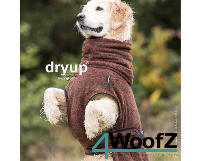 dryup Cape Brown