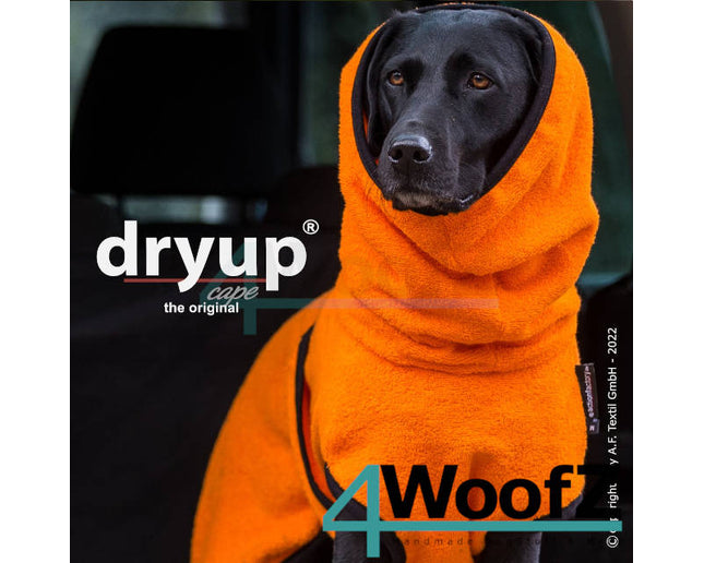 dryup Cape Clementine