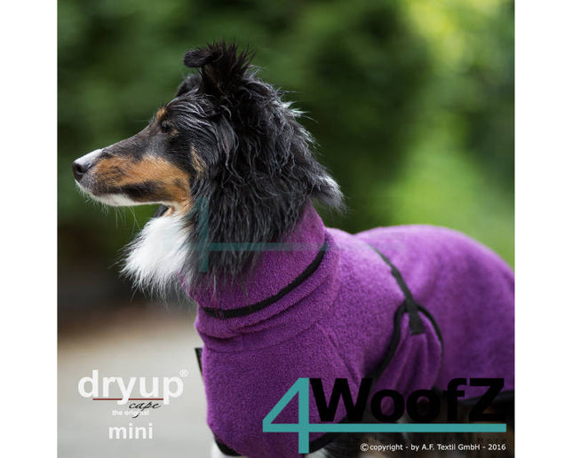 dryup Cape mini Bilberry