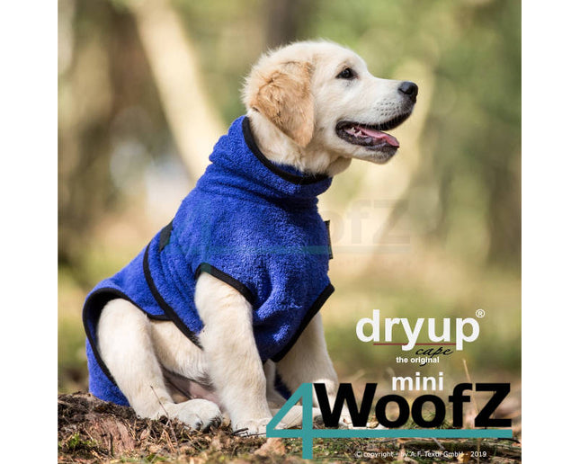 dryup Cape mini Blueberry