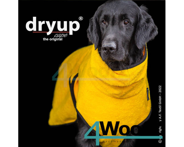 dryup Cape Yellow