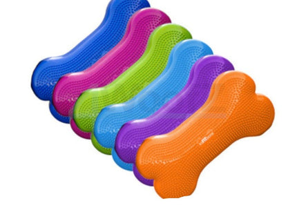 FitPaws Fitbone