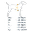 Veste pour chien haute visibilité RuffWear Lumenglow™ - Blaze Orange