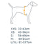 RuffWear Flagline™ Dog Harness - Granite Gray
