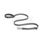 RuffWear Crag™ Reflective Dog Leash