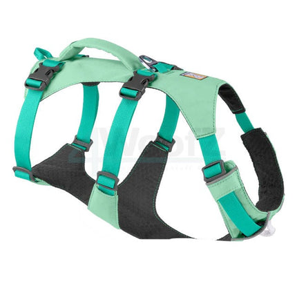 Collection image for: Harnesses