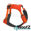 Ruffwear Hi & Light™ Harness - Sockeye Red