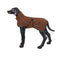 Rukka Pets DOG JACKET COMFY | Brown