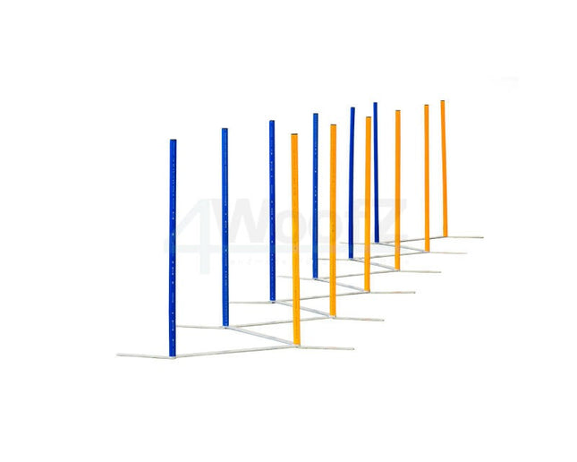 Training Slalom