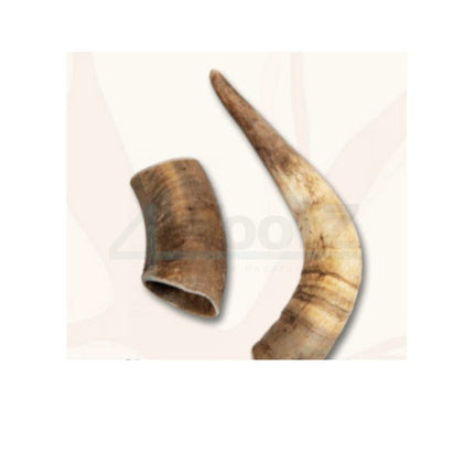 Collection image for: All Nature