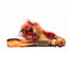 Wafjes-Fire