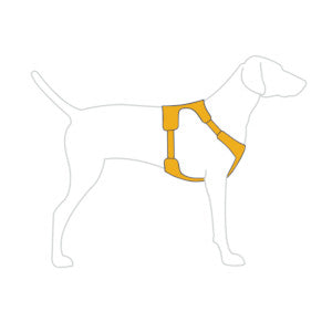 Harnais Front Range RuffWear Orange feu de camp 4WoofZ