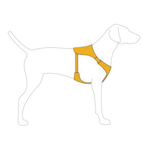 Ruffwear Hi &amp; Light™ Harness - Sage Green