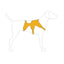 Harnais pour chien RuffWear Web Master™ - Gris crépuscule