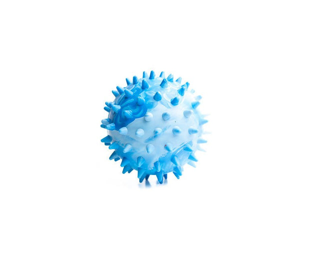 Spine ball - L