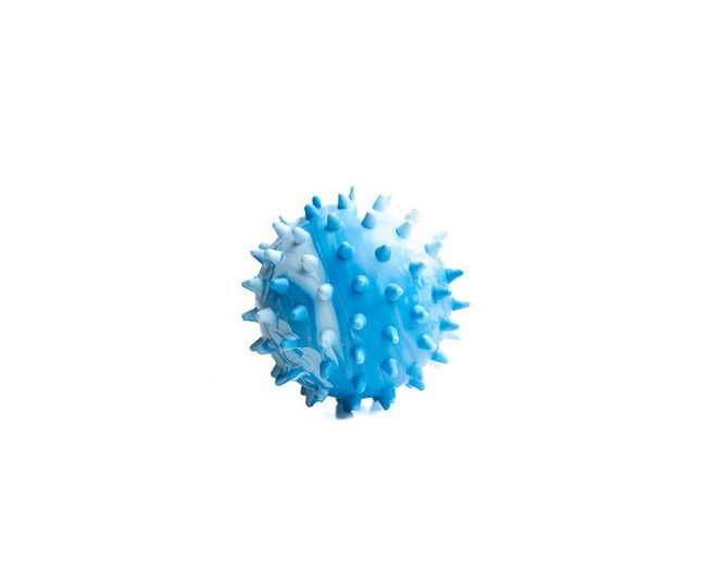 Spine ball - M